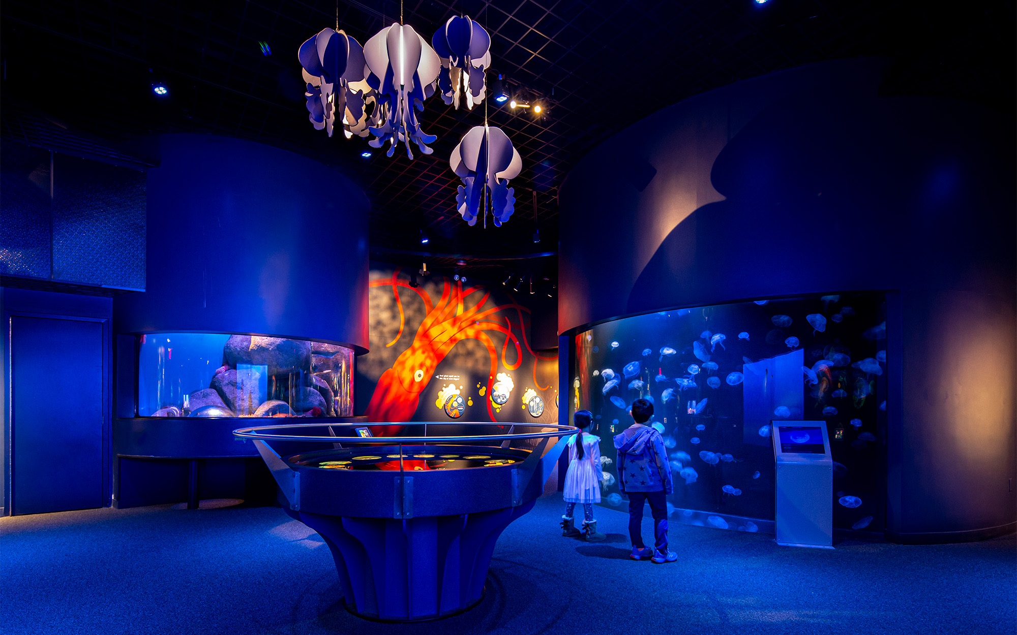 Exhibition design with jellyfish, squid, and aquarium tanks.