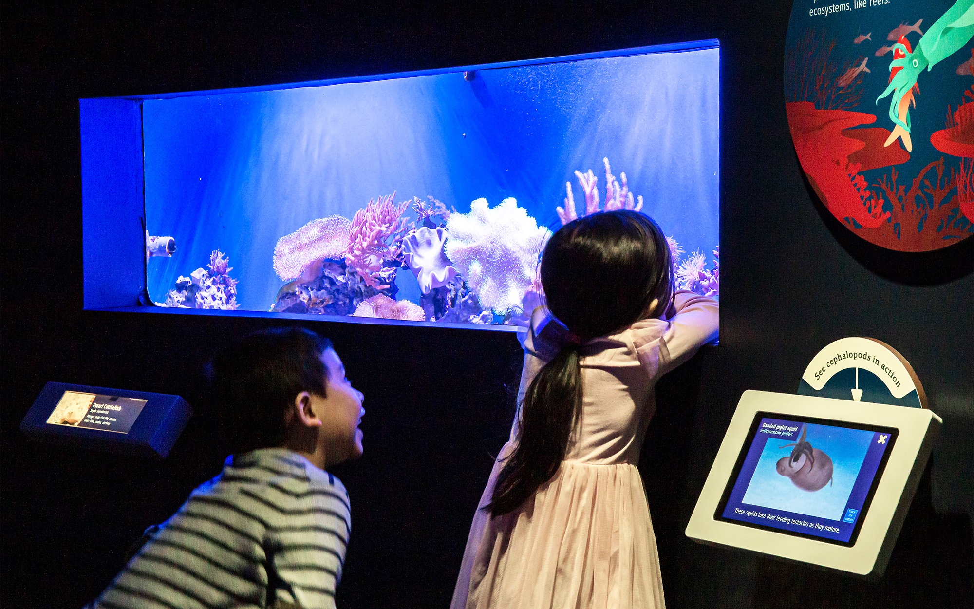 Children observe fish at the New York Aquarium