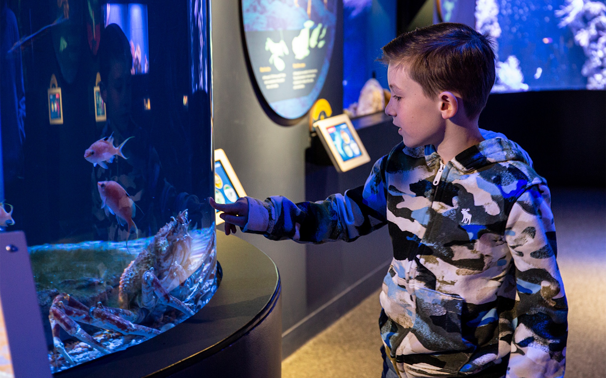 Aquarium visitor pointing at the fish in the tank