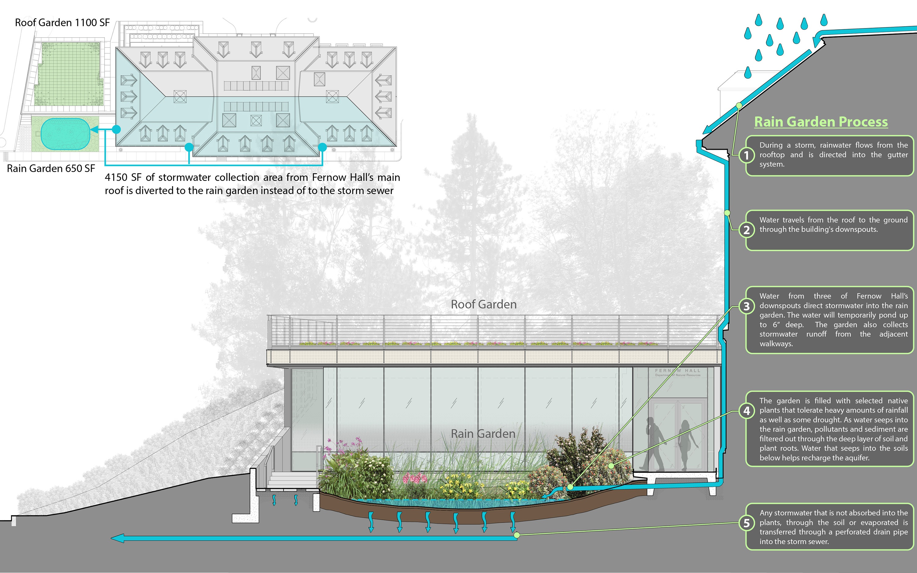 Fernow Hall sustainability diagram,