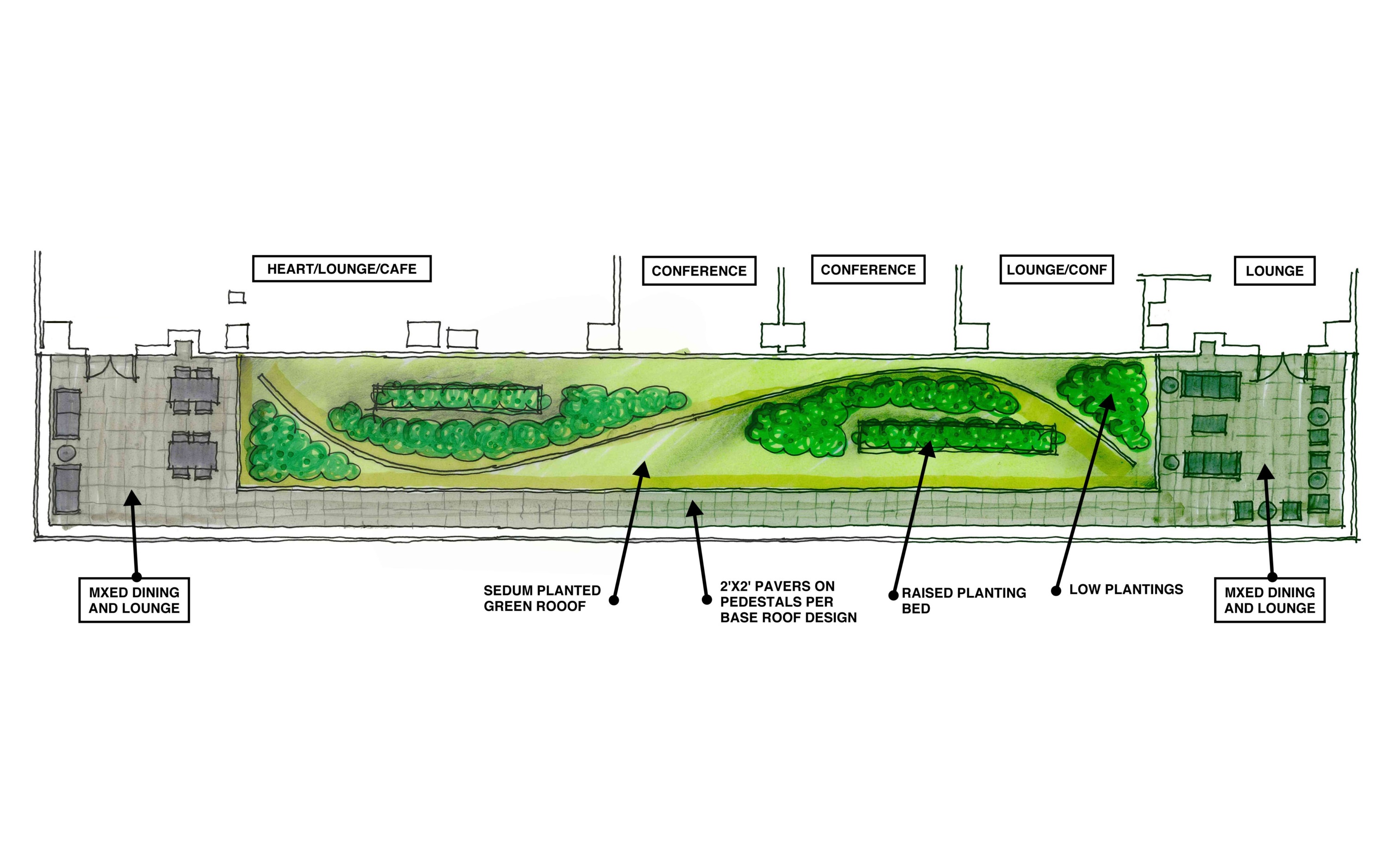 plan view of landscape design