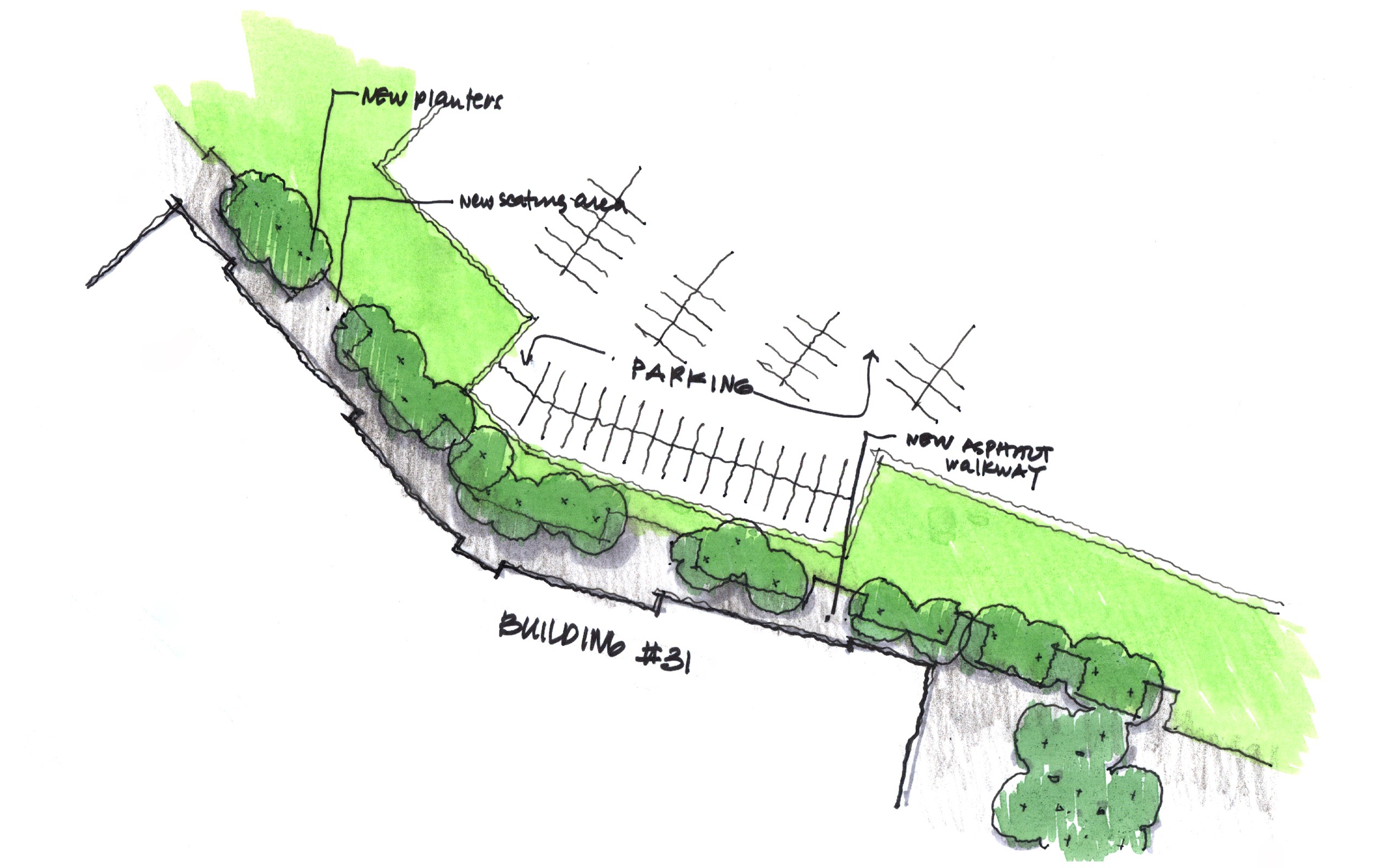 Sketched diagram of green space alongside a parking lot