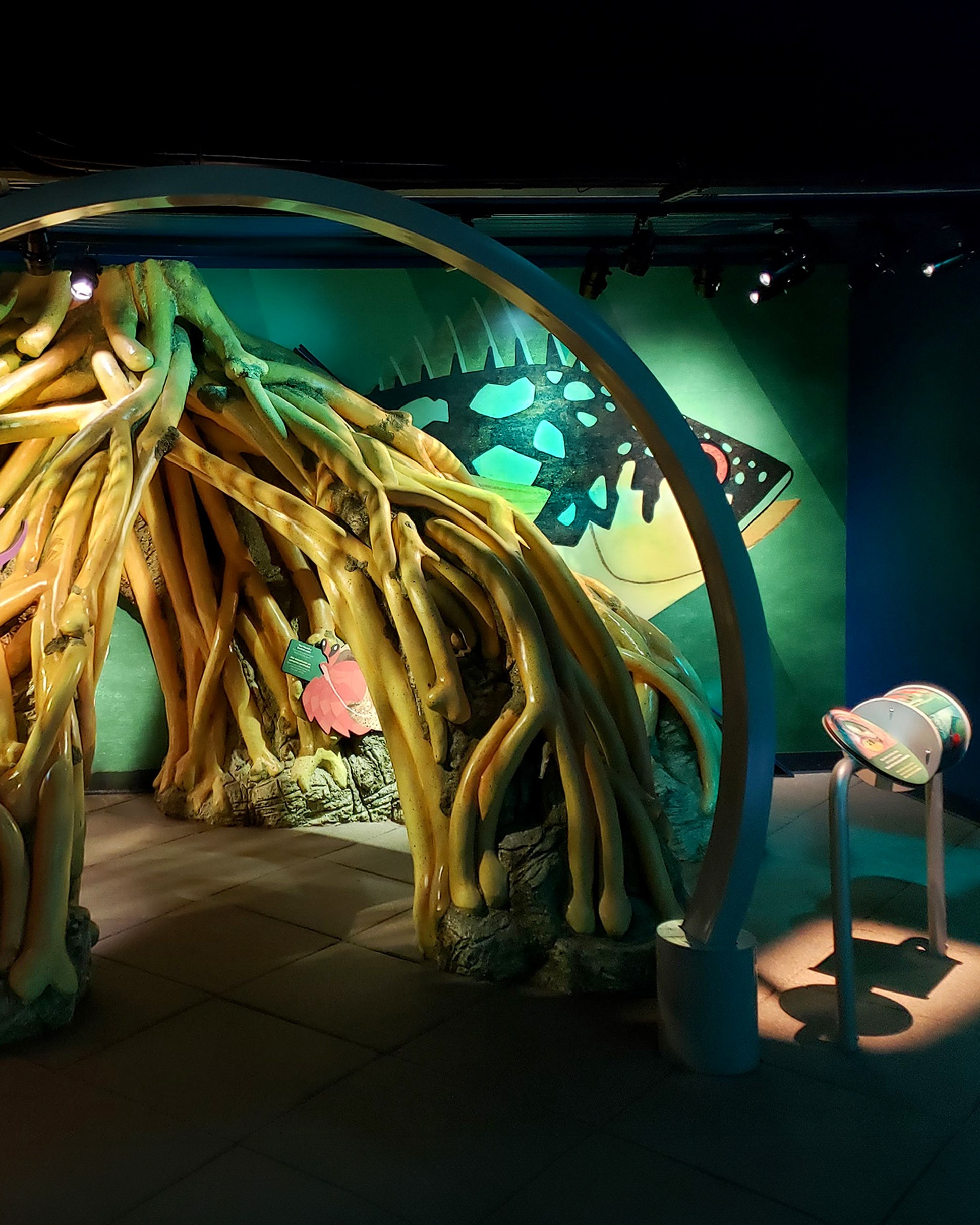 New York Aquarium PlayQuarium interactive exhibit