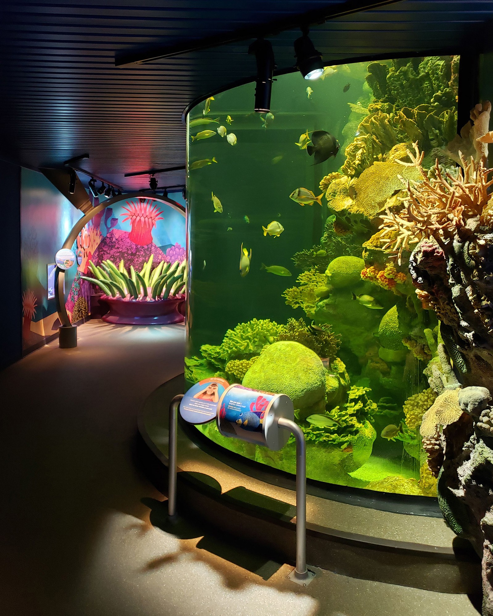 New York Aquarium PlayQuarium