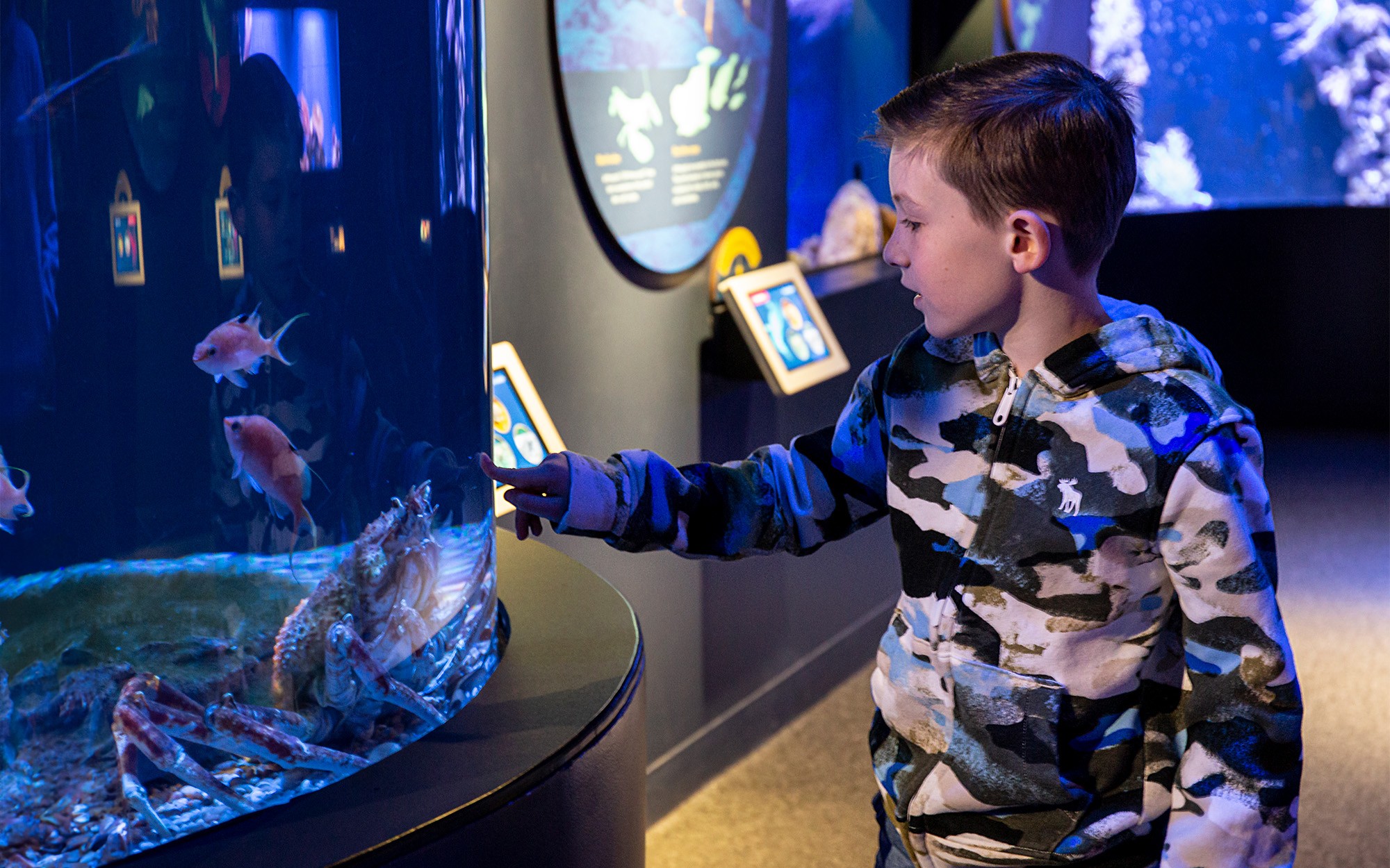 New York Aquarium PlayQuarium