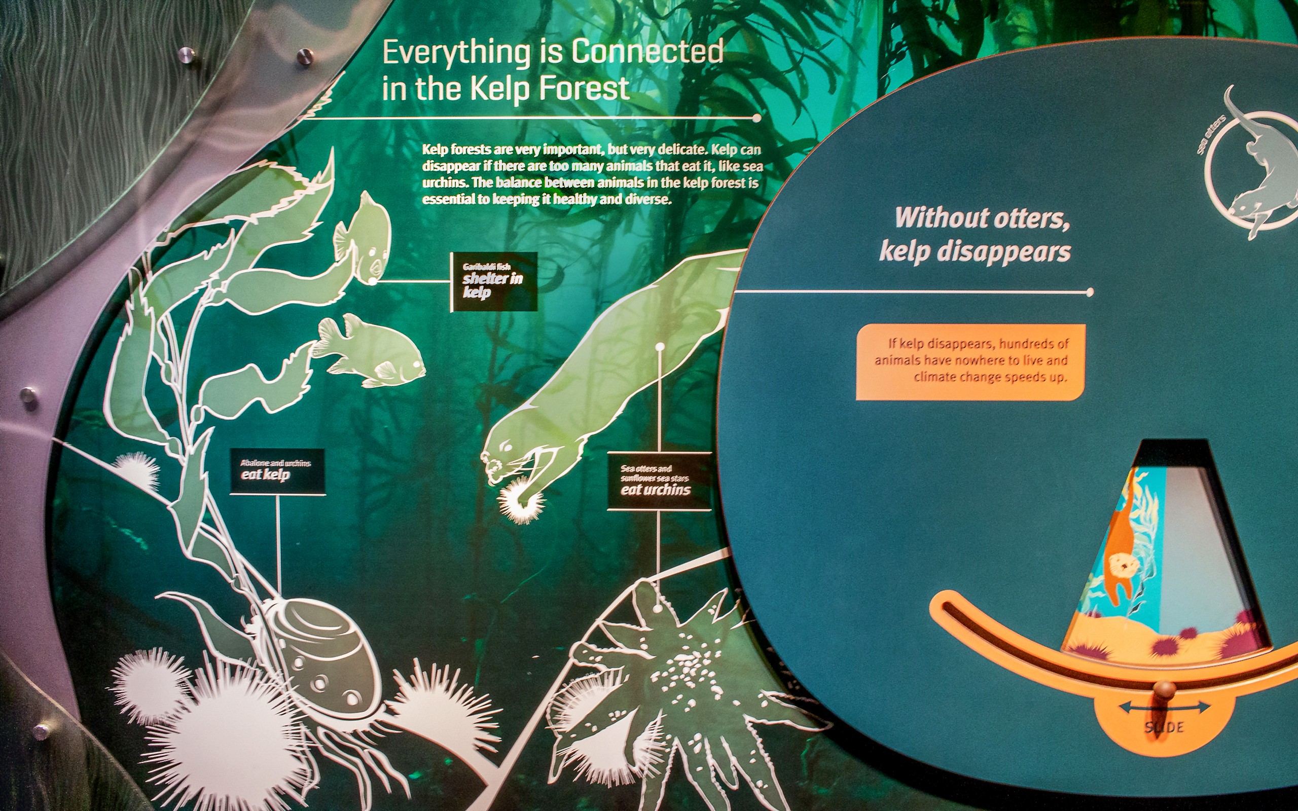 New York Aquarium Sea Change exhibit interactive graphics