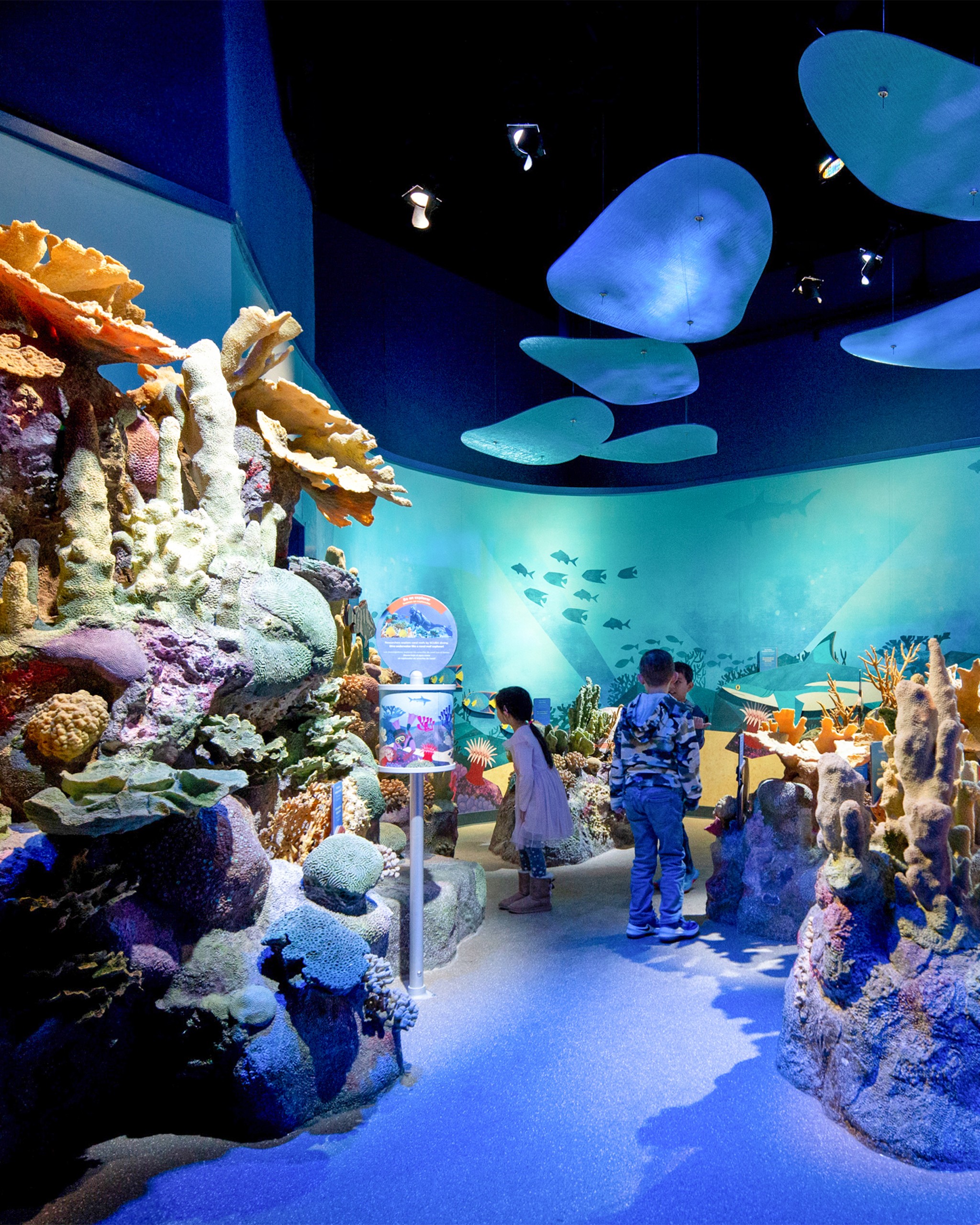 New York Aquarium PlayQuarium interactive exhibit