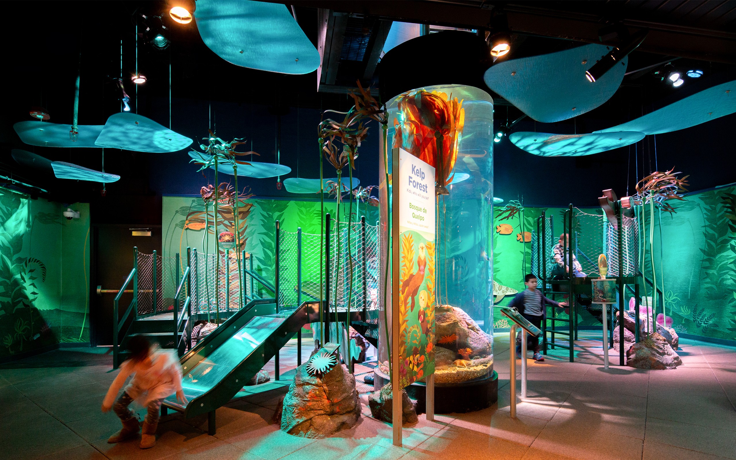New York Aquarium Spineless