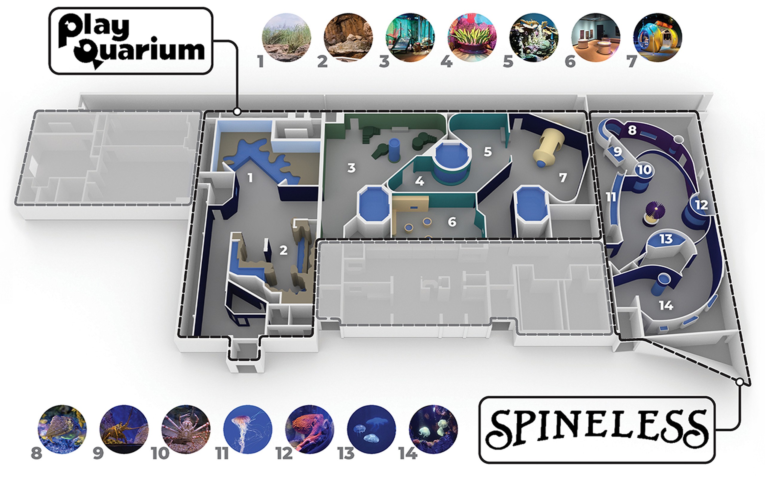 New York Aquarium Spineless & PlayQuarium exhibition diagram